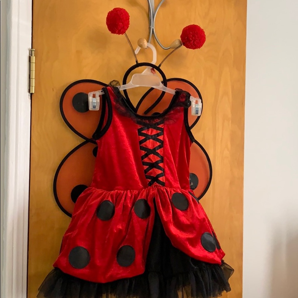 Fairy dust ladybug costume
